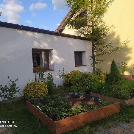 Apartament Gniezno - Mnichowo Esterno foto